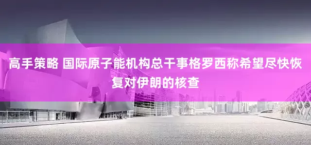高手策略 国际原子能机构总干事格罗西称希望尽快恢复对伊朗的核查
