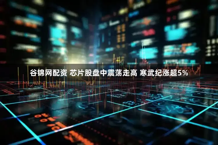 谷锦网配资 芯片股盘中震荡走高 寒武纪涨超5%