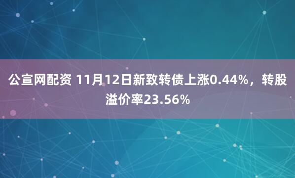 公宣网配资 11月12日新致转债上涨0.44%，转股溢价率23.56%