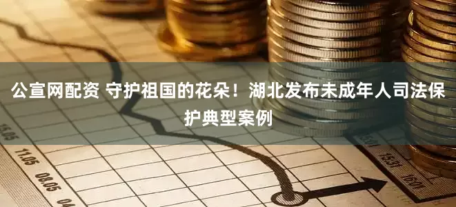 公宣网配资 守护祖国的花朵！湖北发布未成年人司法保护典型案例